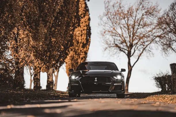 Casino Lion Wins Android/iOS-app